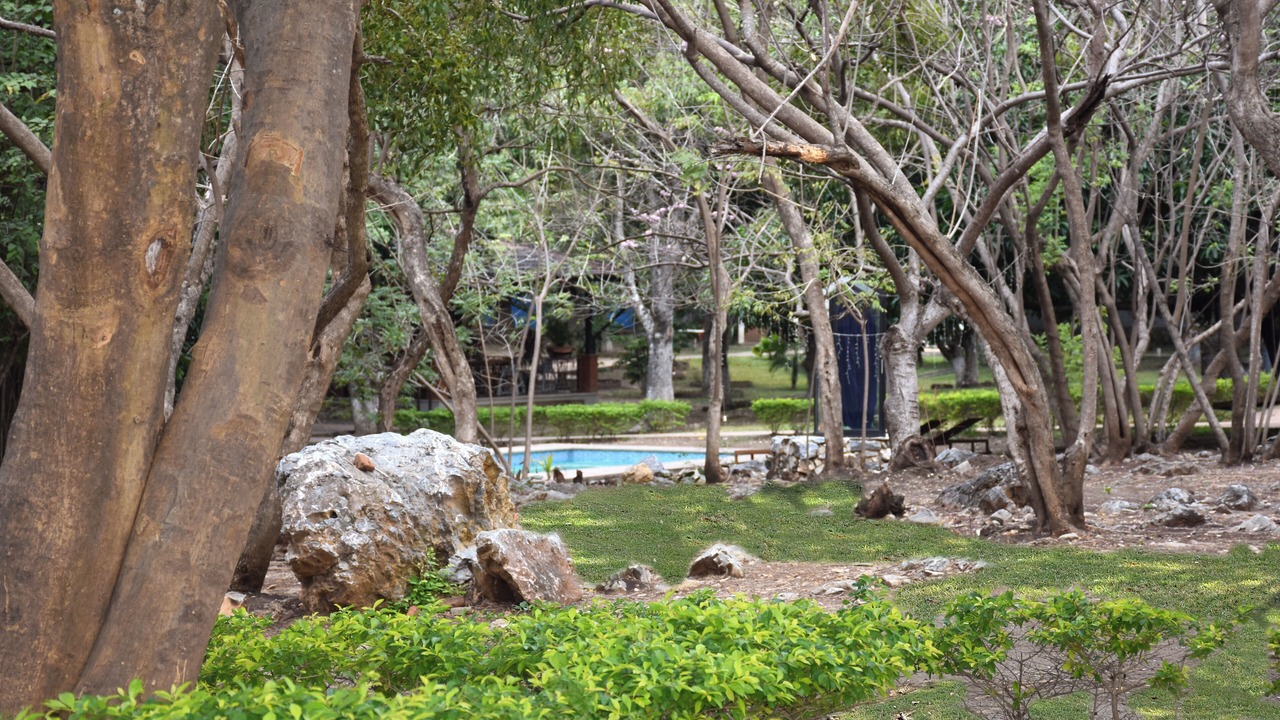 Photo of Outdoor in El Barrio de la Soledad