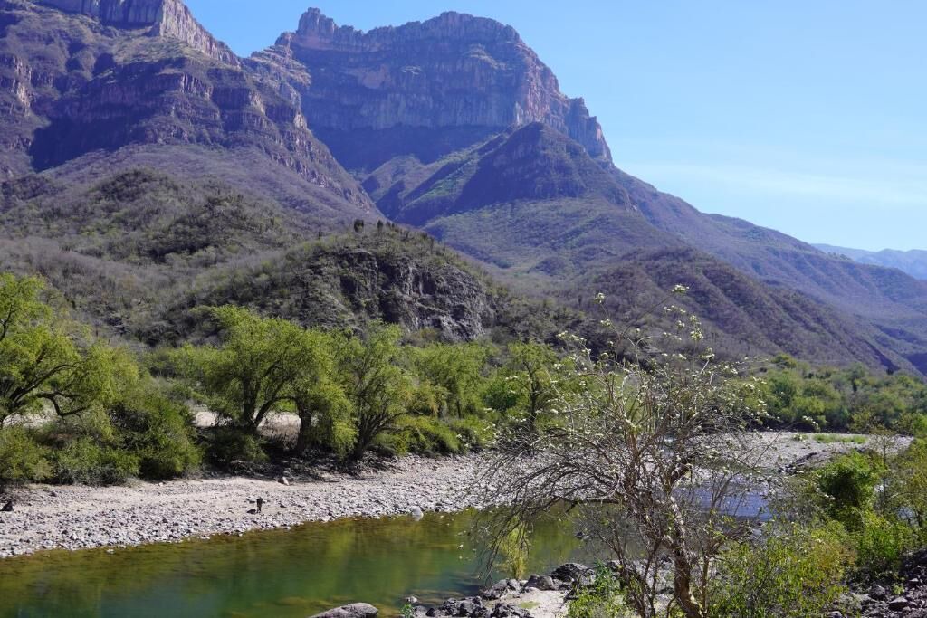 Photo of Others in Urique