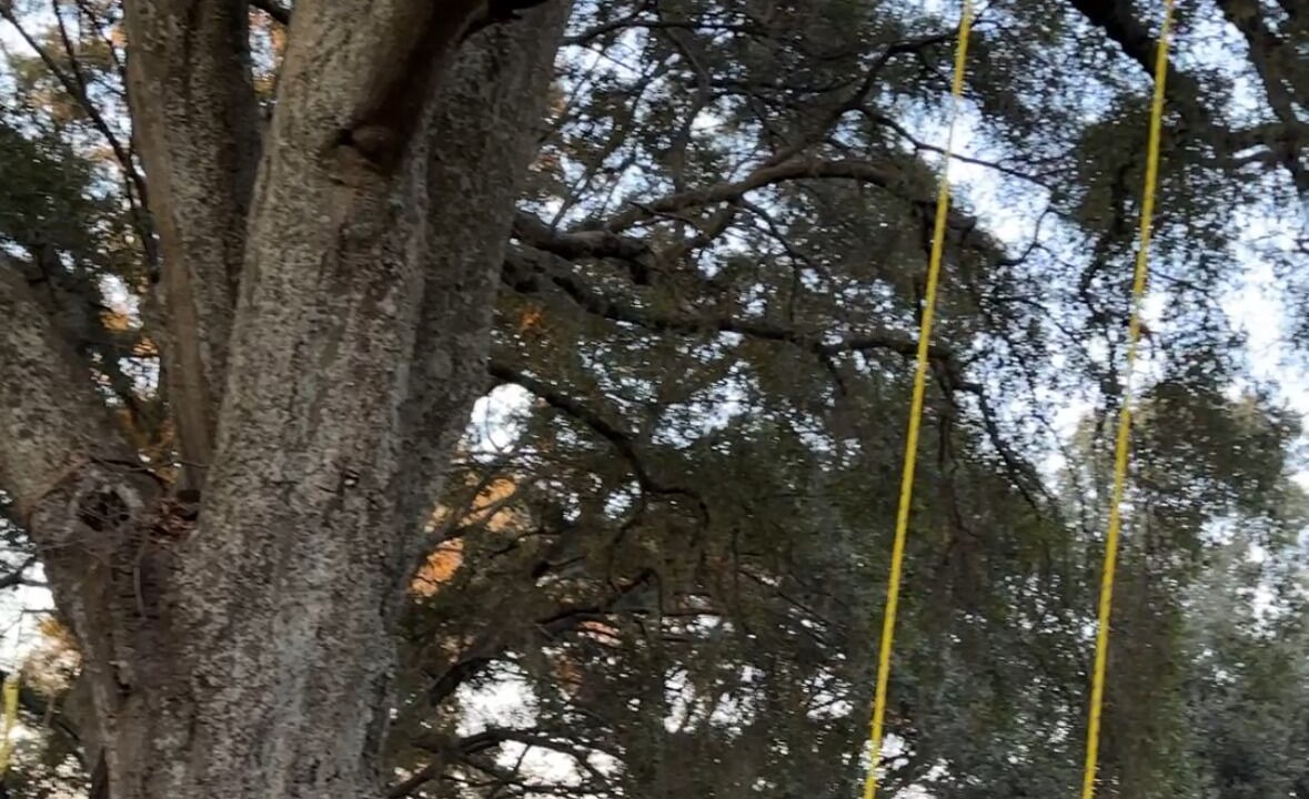 Photo of Outdoor in Jilotepec de Abasolo