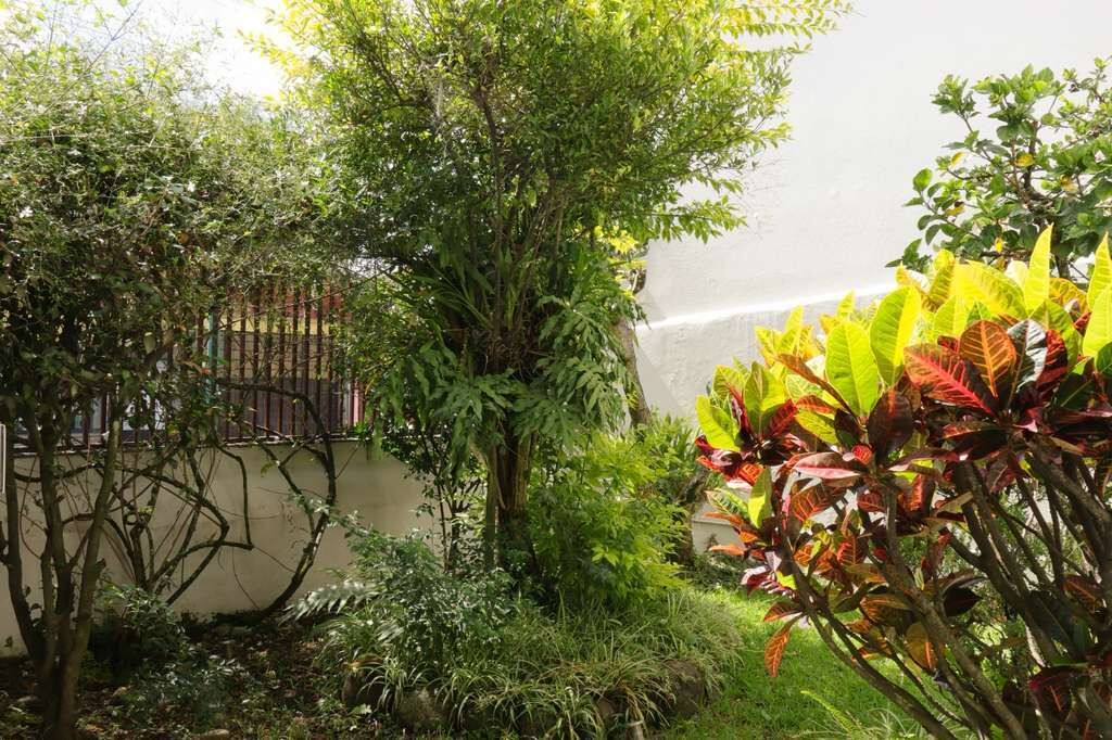 Photo of Outdoor in Coatepec