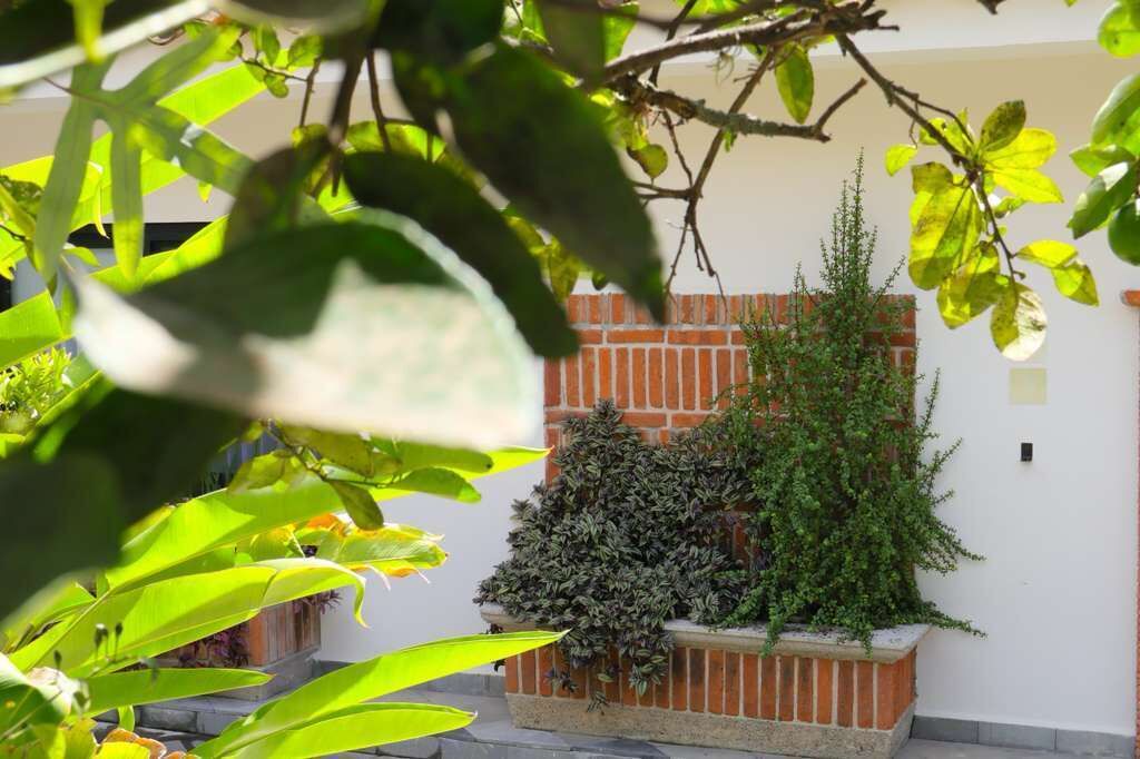 Photo of Outdoor in Coatepec