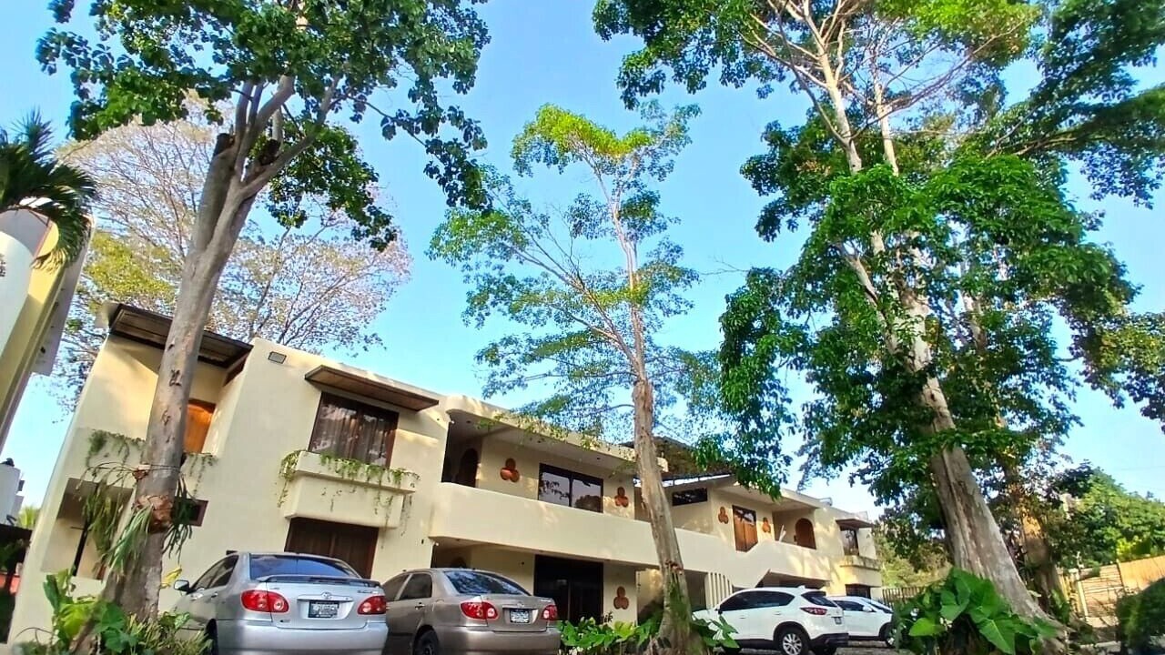 Photo of Others in San Martin Zapotitlan