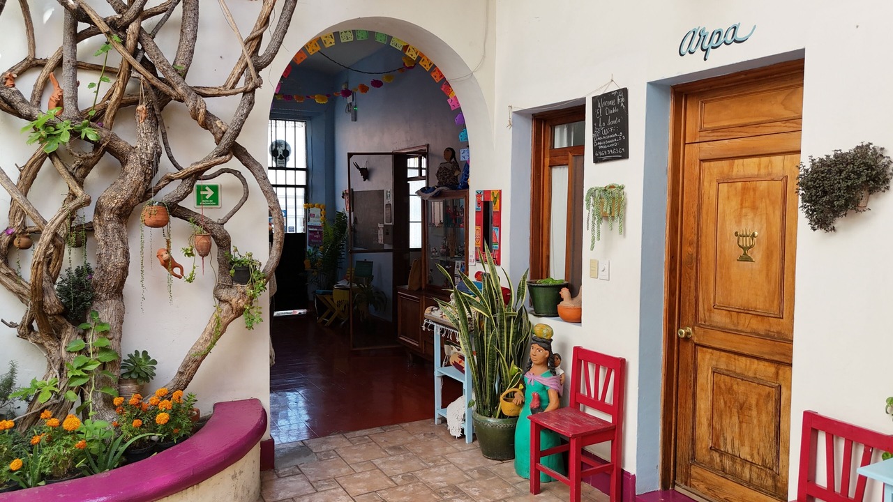 Photo of Outdoor in Centro