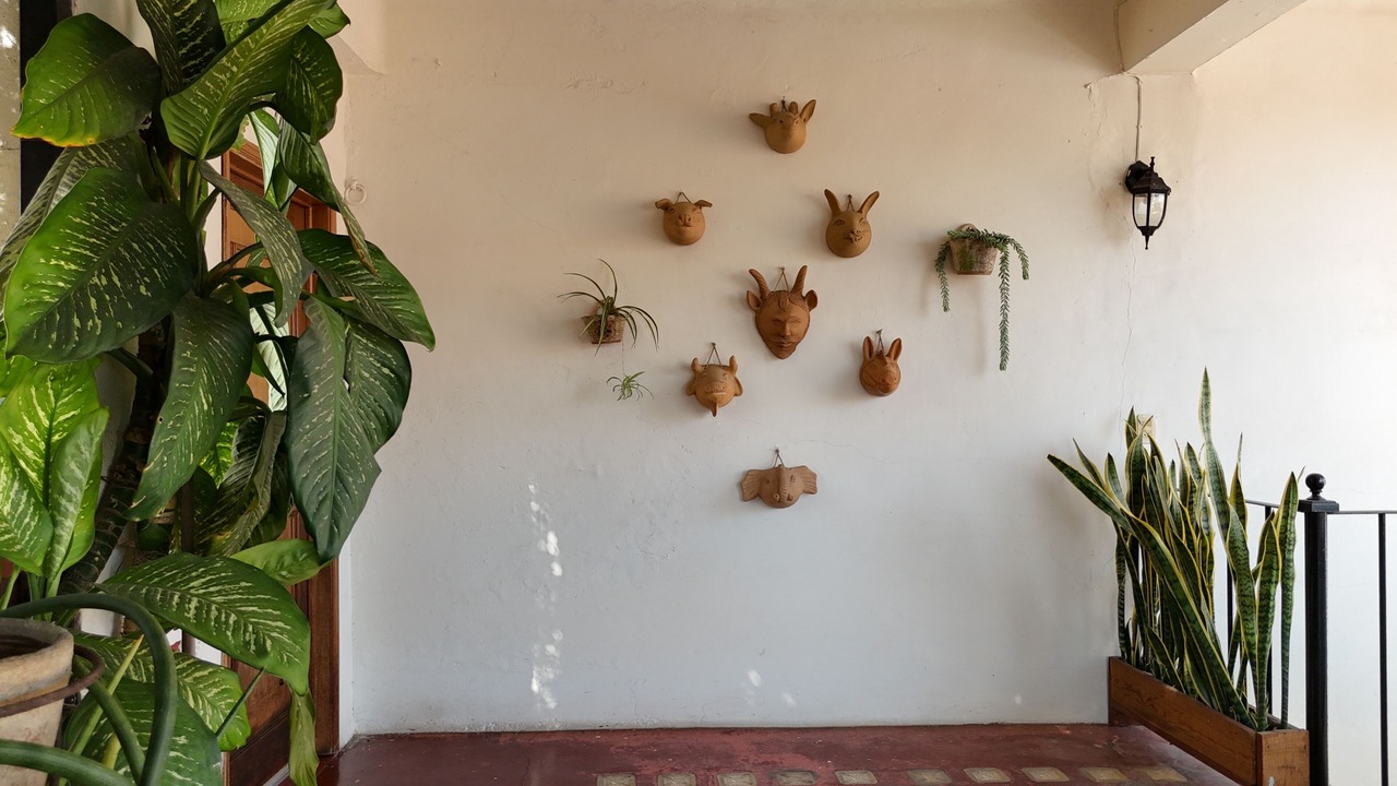 Photo of Outdoor in Centro