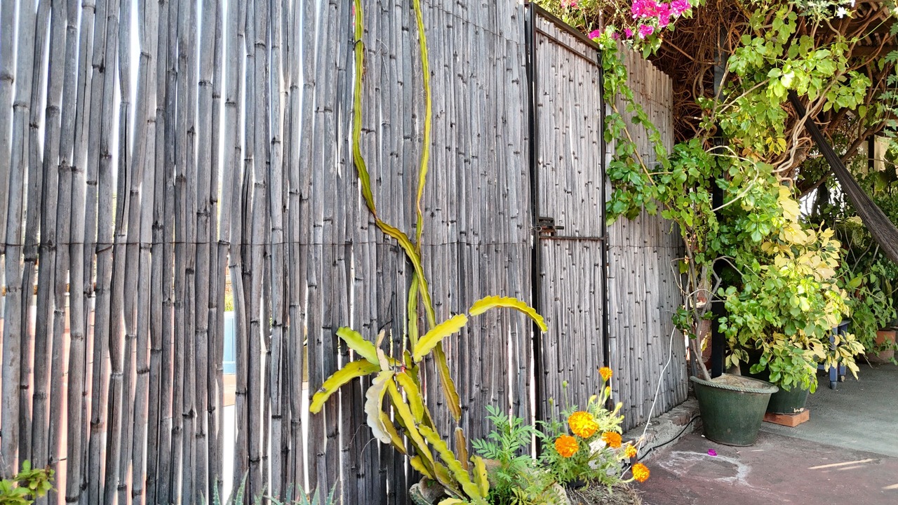 Photo of Patio Balcony in Centro