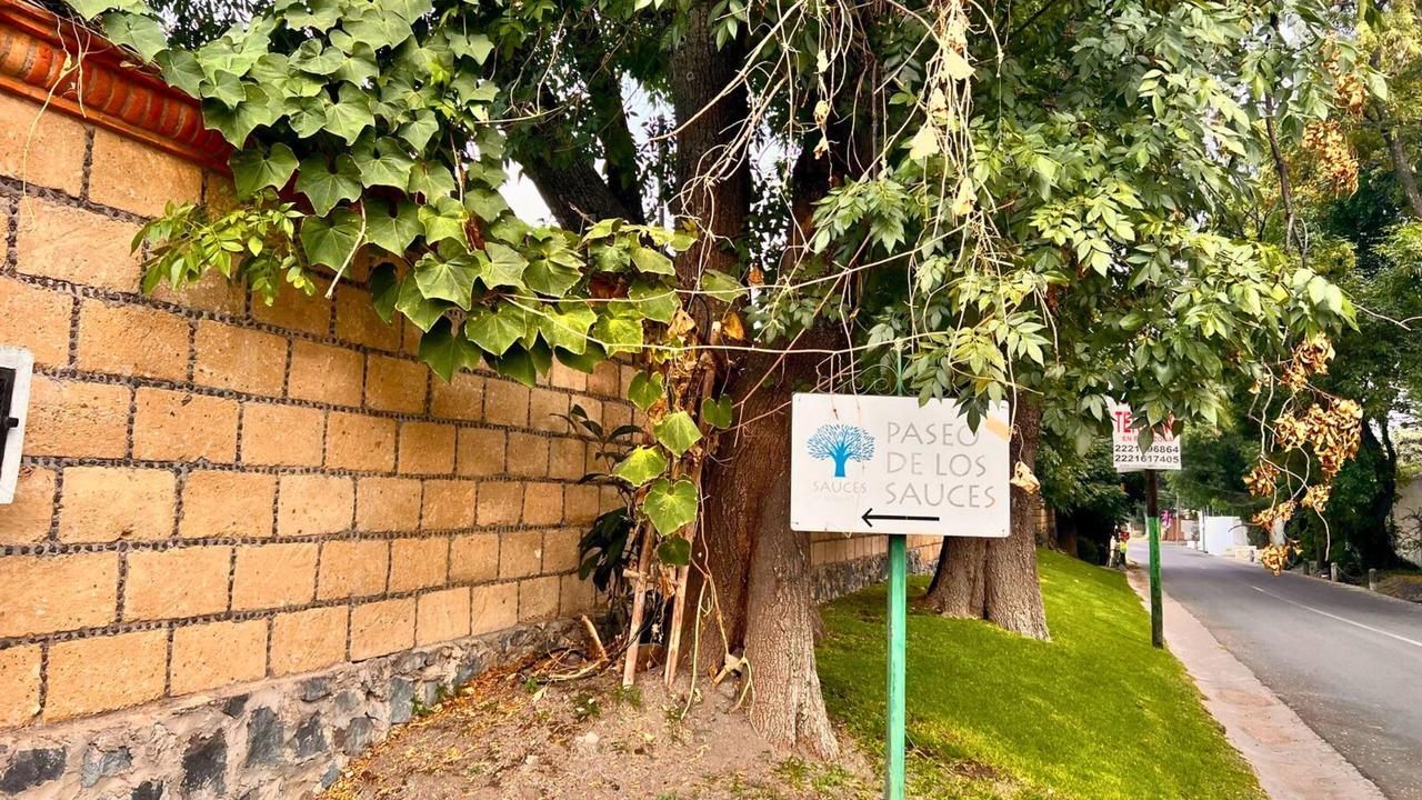 Photo of Outdoor in Atlixco