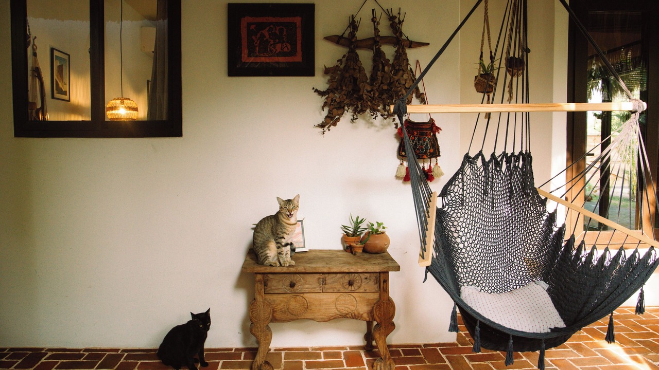 Photo of Outdoor in El Paredon