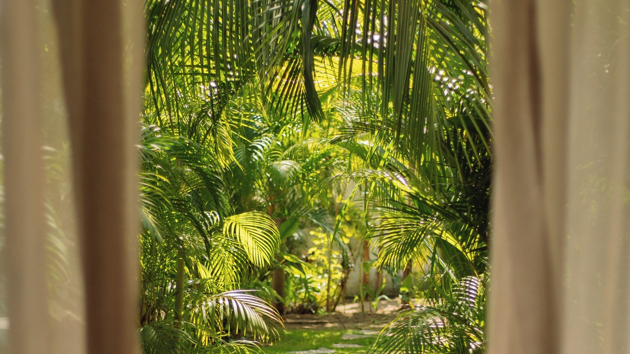Photo of Outdoor in El Paredon