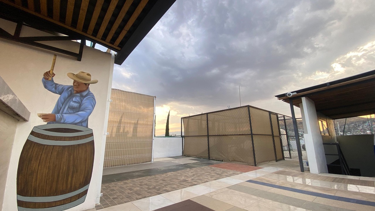 Photo of Outdoor in Oaxaca