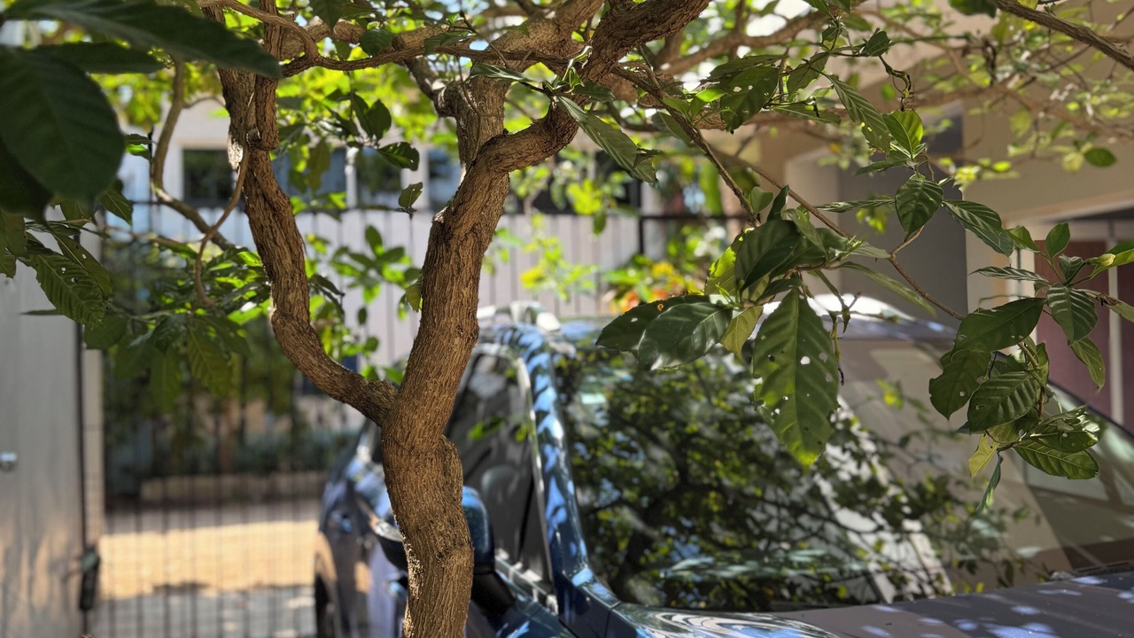 Photo of Outdoor in Brisas de Zicatela