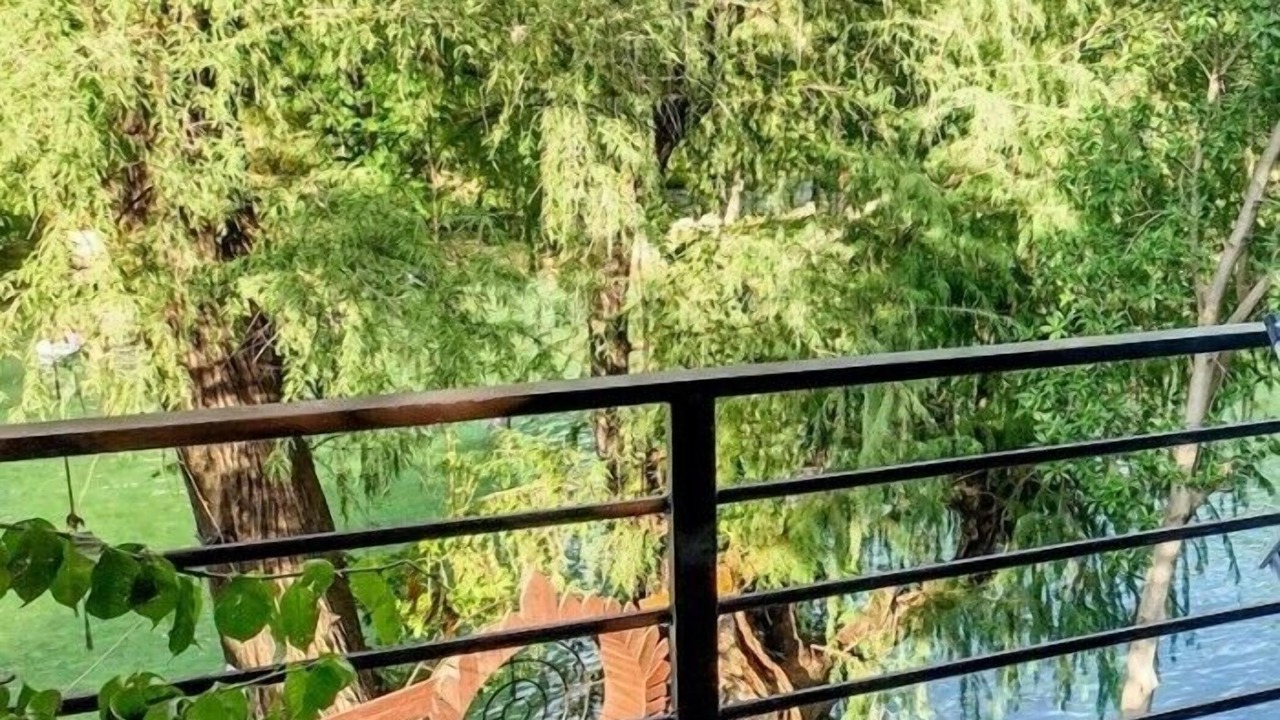 Photo of Bedroom in El Naranjo