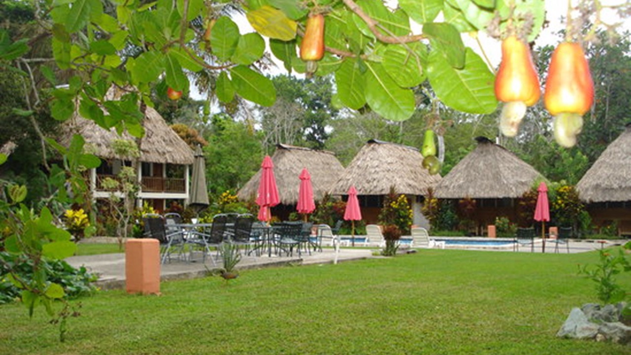Photo of Others in Tikal National Park