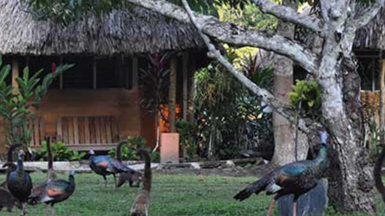 Photo of Outdoor in Tikal National Park