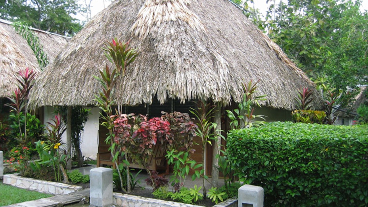 Photo of Outdoor in Tikal National Park