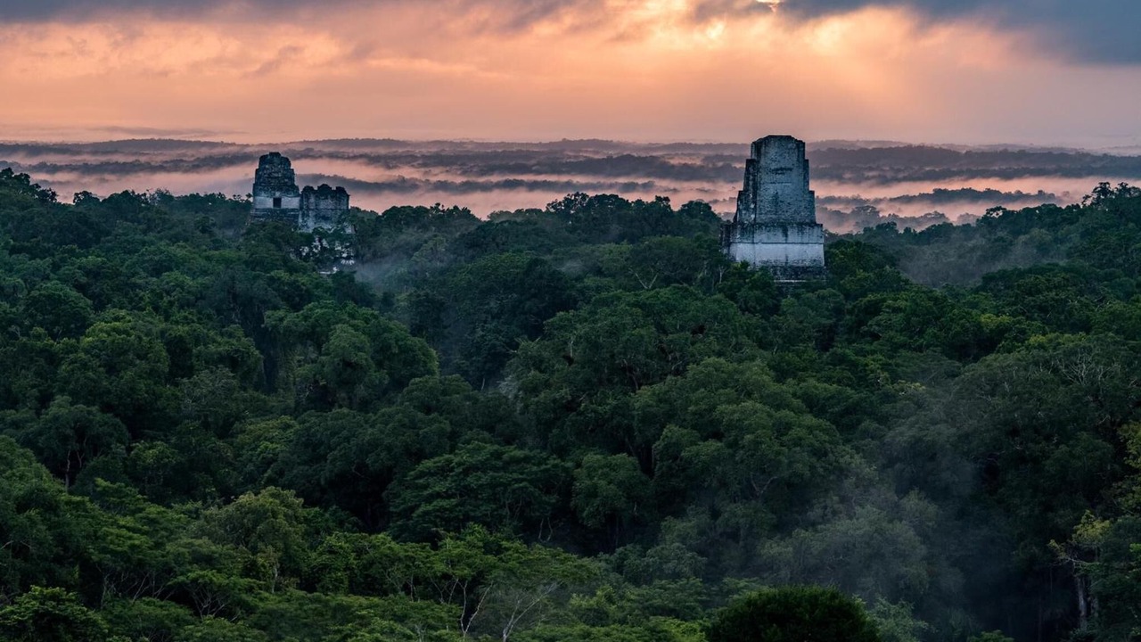 Photo of Outdoor in Tikal National Park
