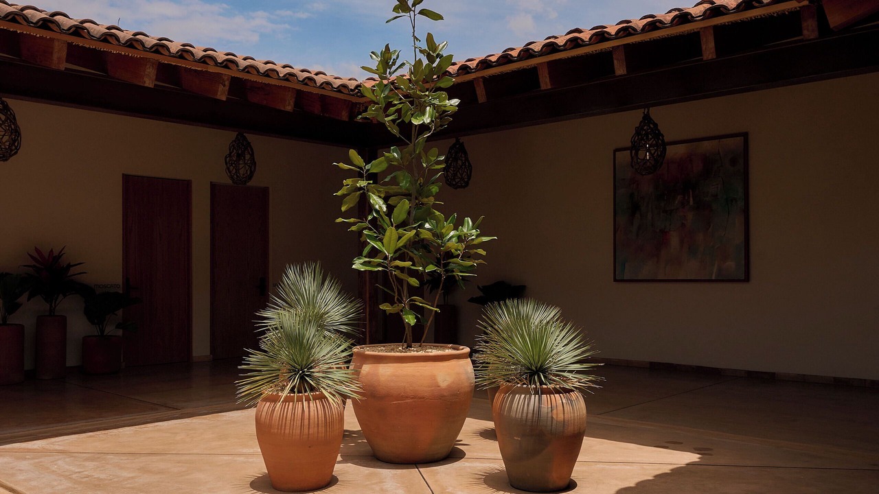 Photo of Outdoor in Centro