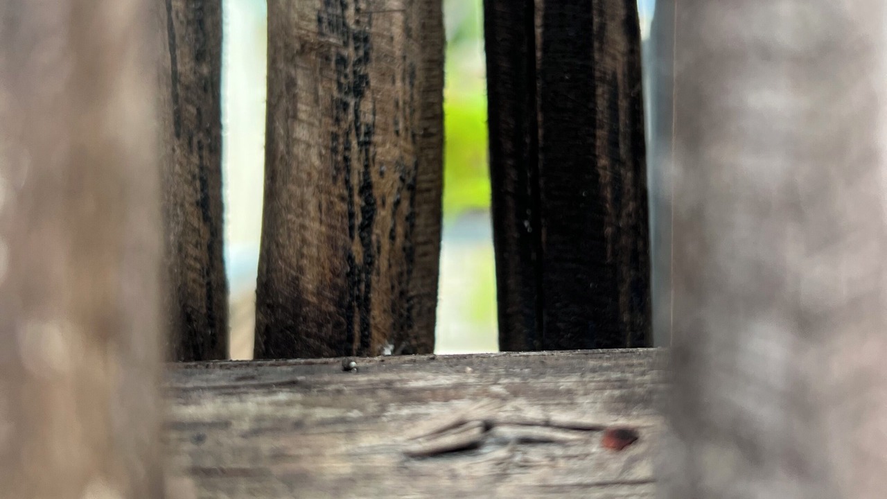 Photo of Outdoor in Tulum