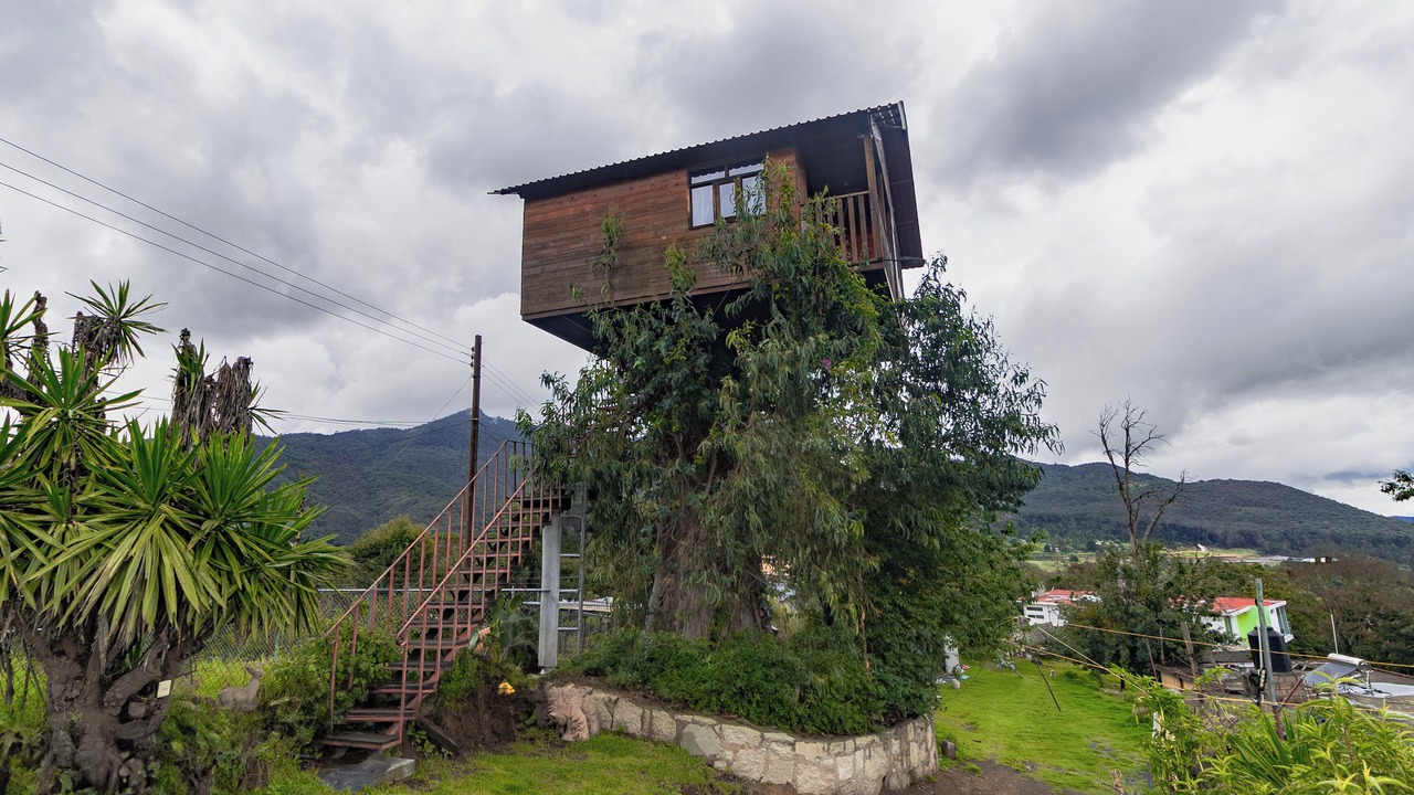Photo of Others in Omitlan de Juarez