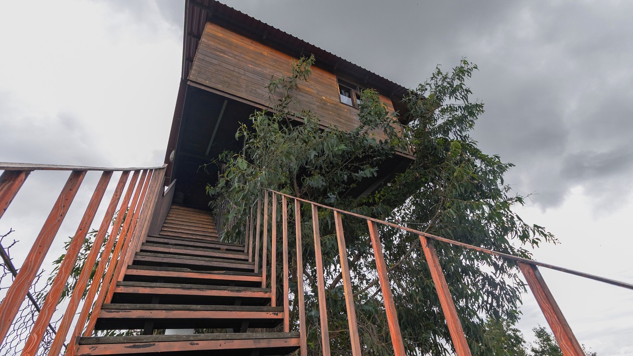 Photo of Outdoor in Omitlan de Juarez