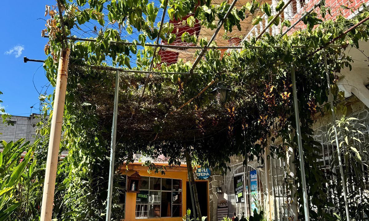 Photo of Outdoor in Panajachel