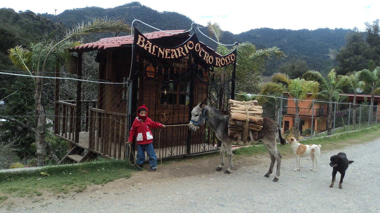Photo of Outdoor in Zacapoaxtla