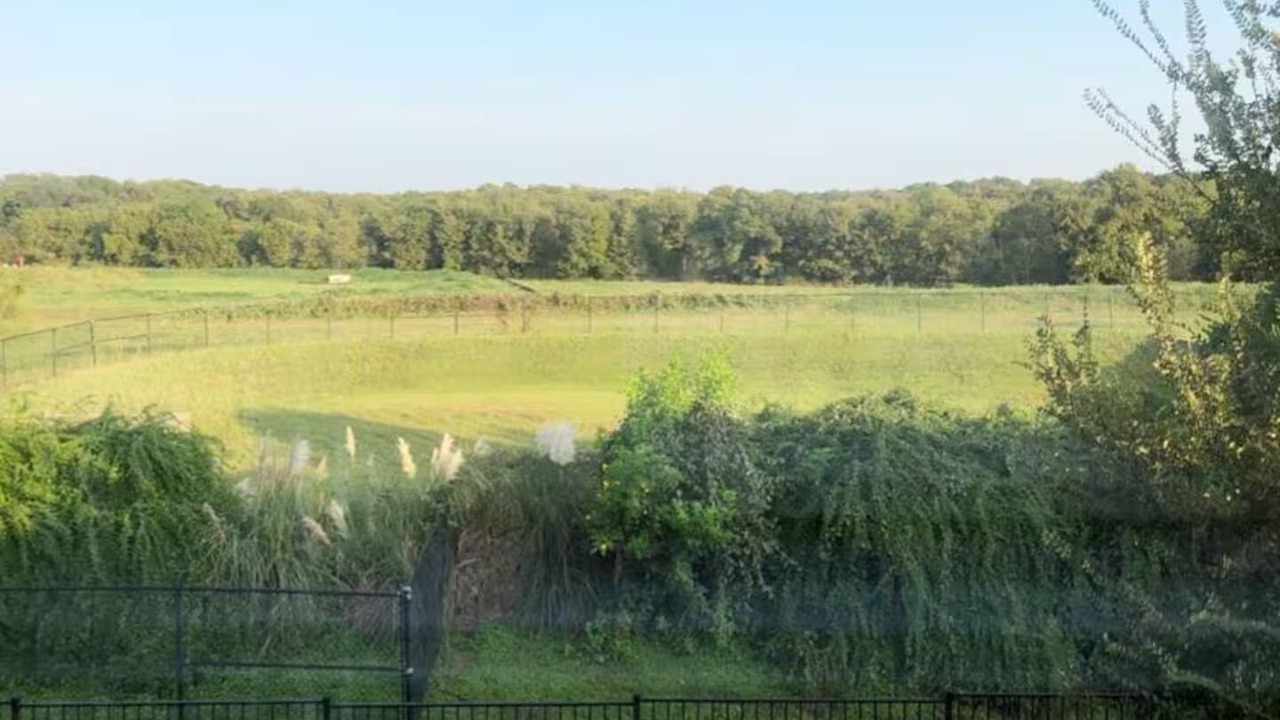 Photo of Outdoor in Sunset Valley