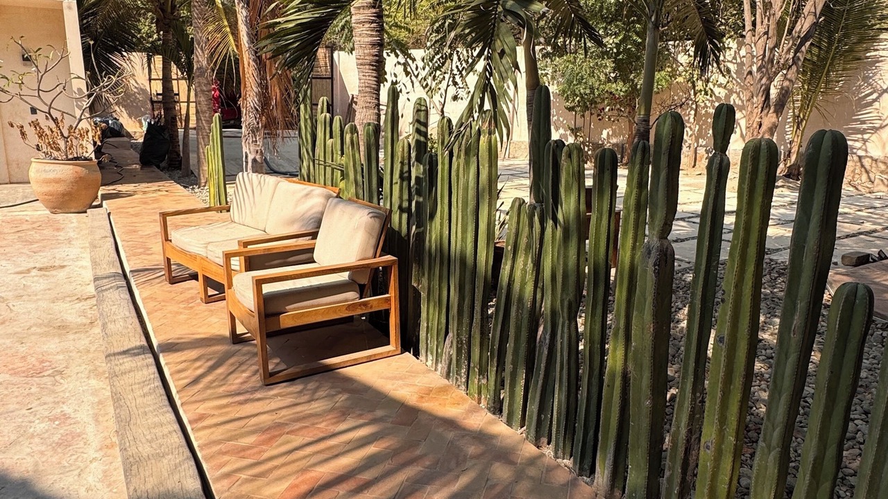 Photo of Patio Balcony in Mazunte