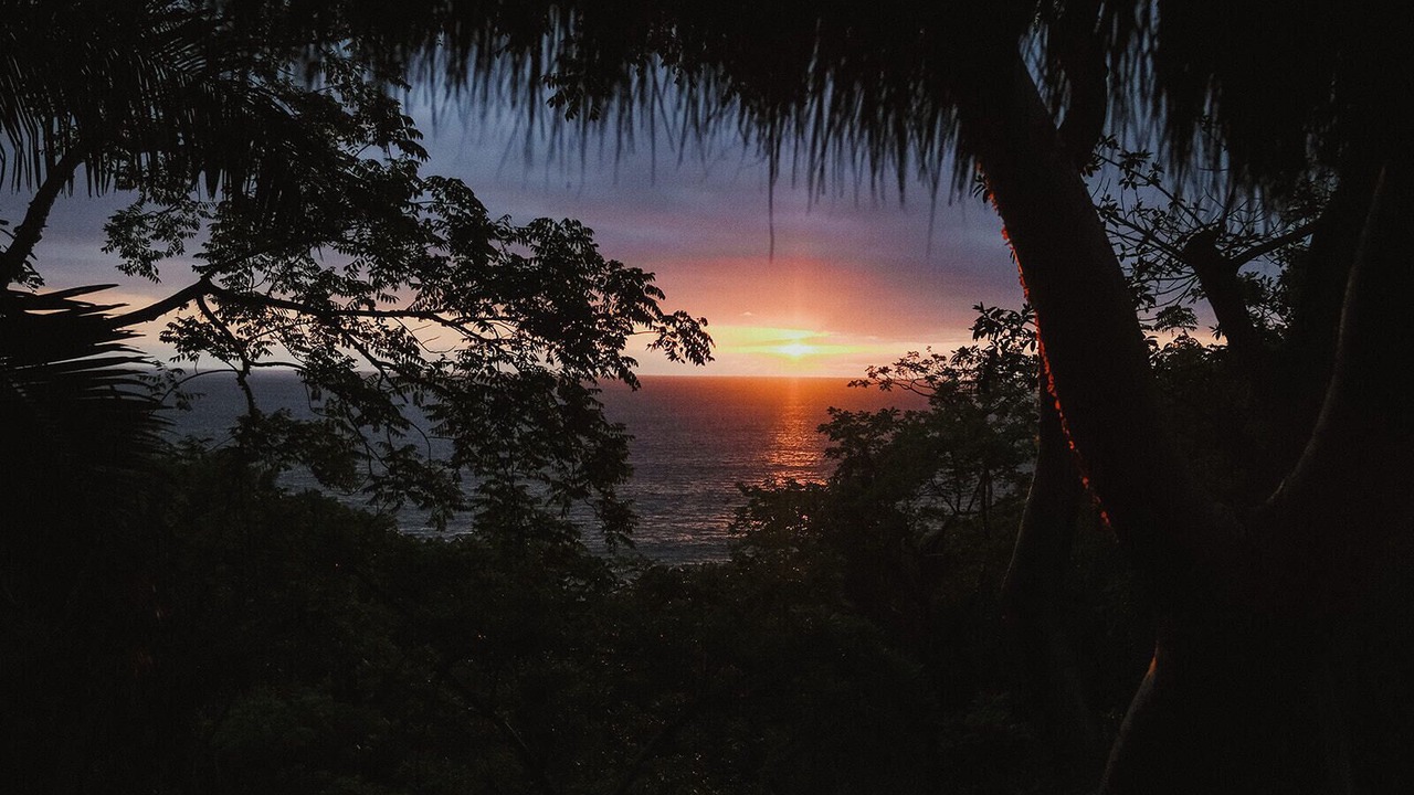 Photo of Others in Sayulita
