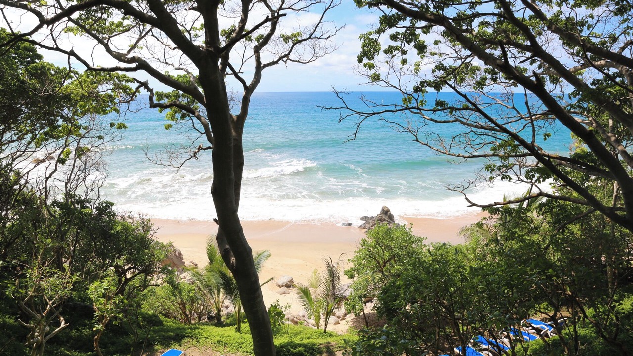 Photo of Outdoor in Sayulita