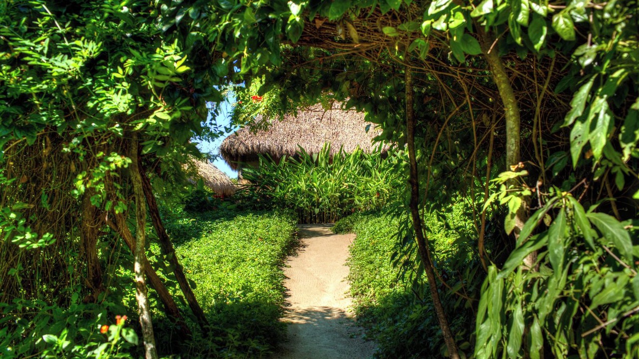 Photo of Outdoor in Sayulita