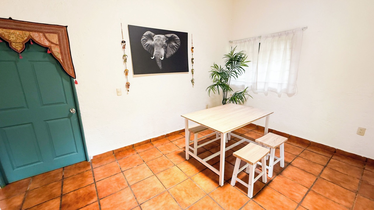 Photo of Outdoor in San Miguel