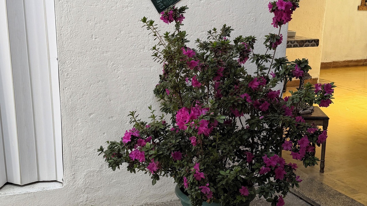 Photo of Outdoor in Zona 1