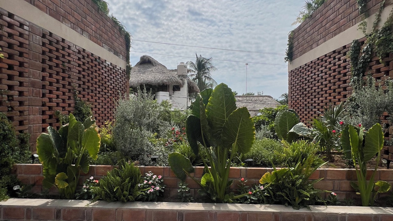 Photo of Outdoor in Brisas de Zicatela
