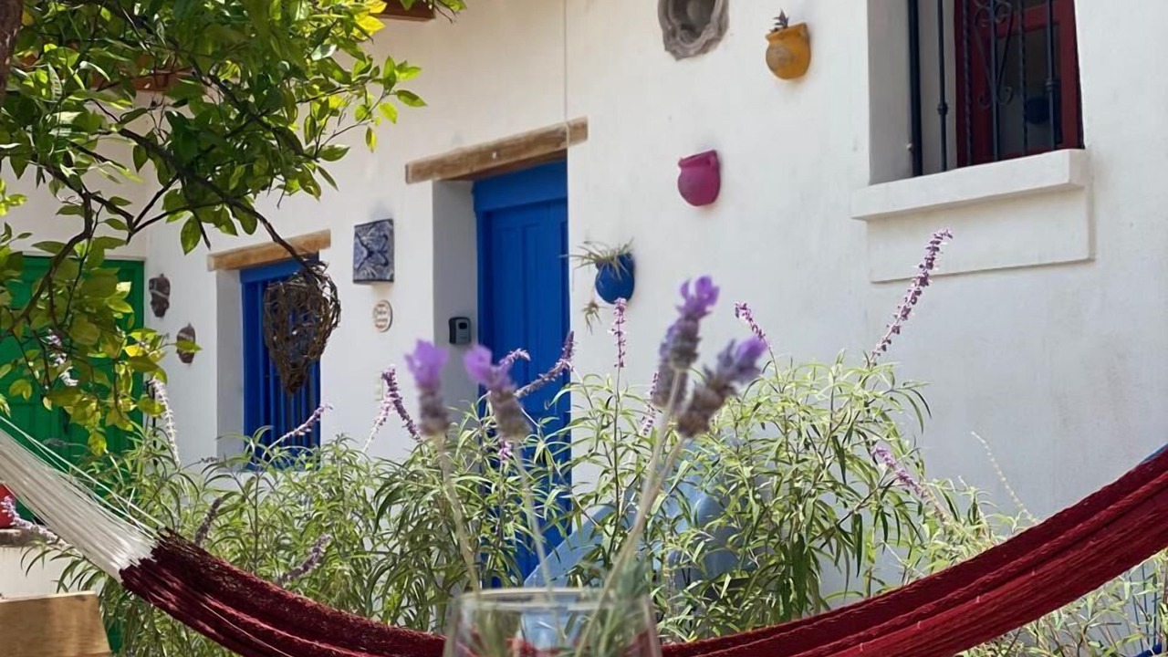 Photo of Others in Guanajuato