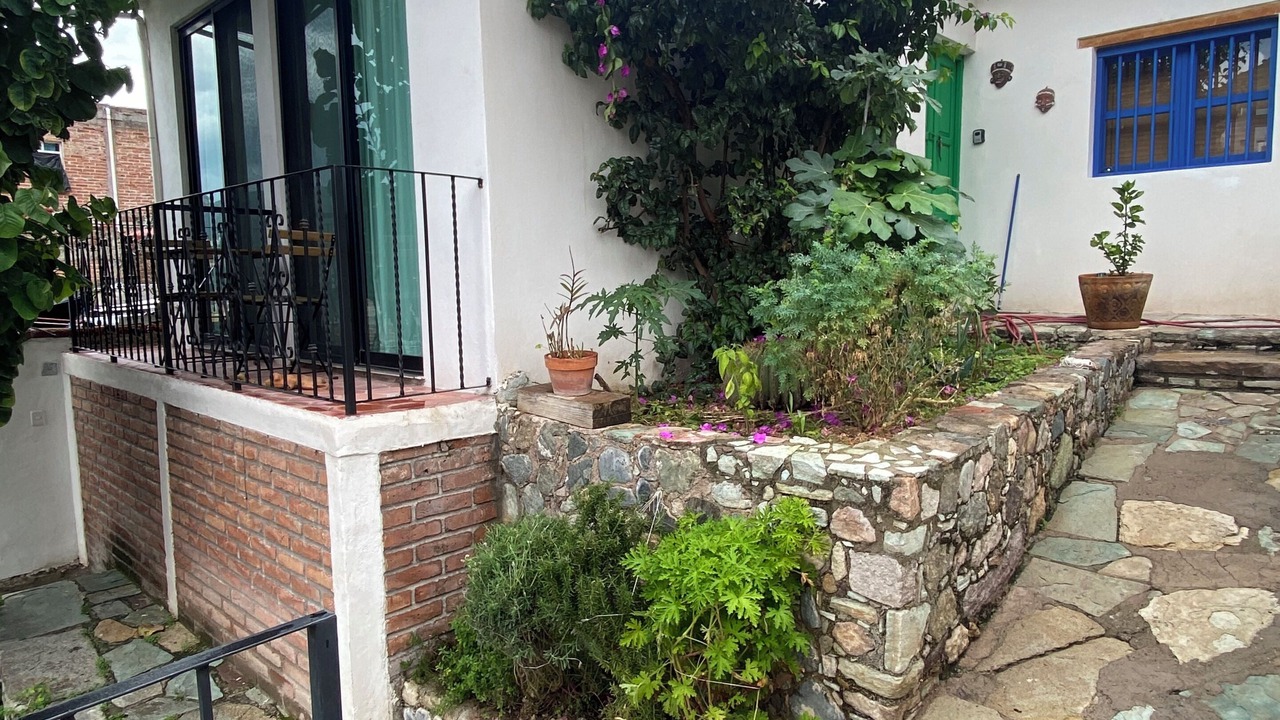 Photo of Others in Guanajuato