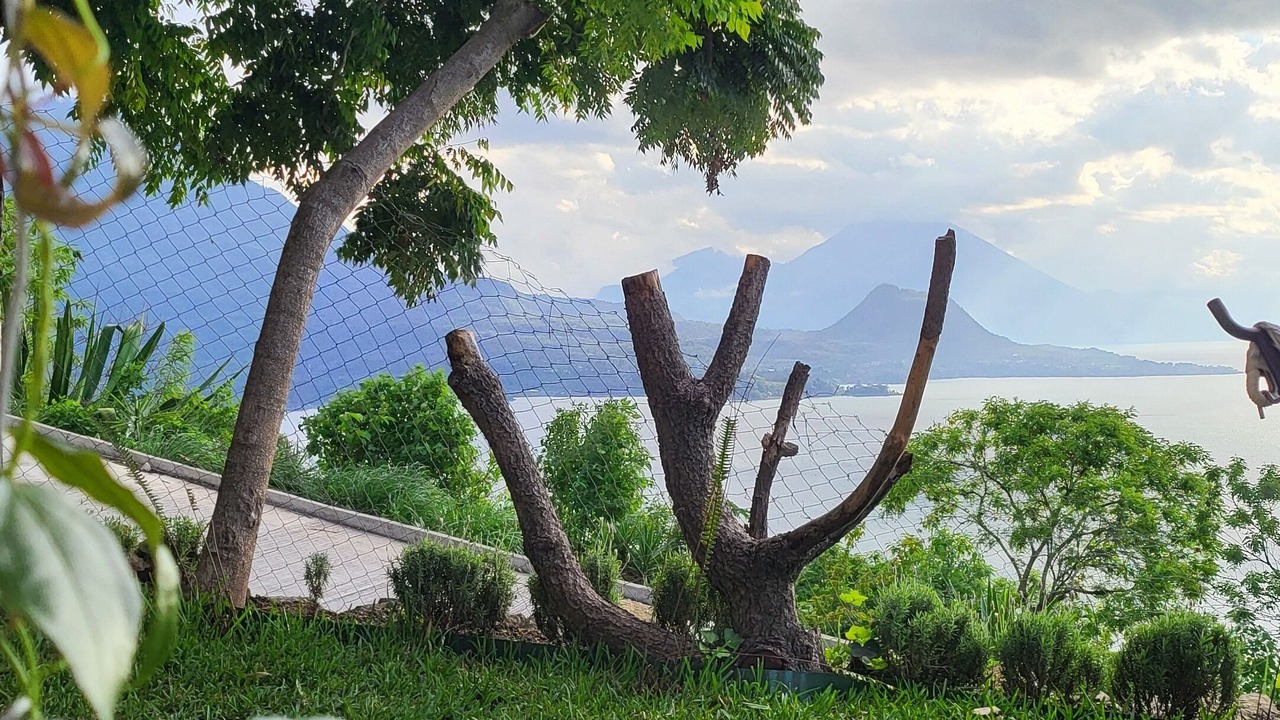 Photo of Outdoor in San Antonio Palopo
