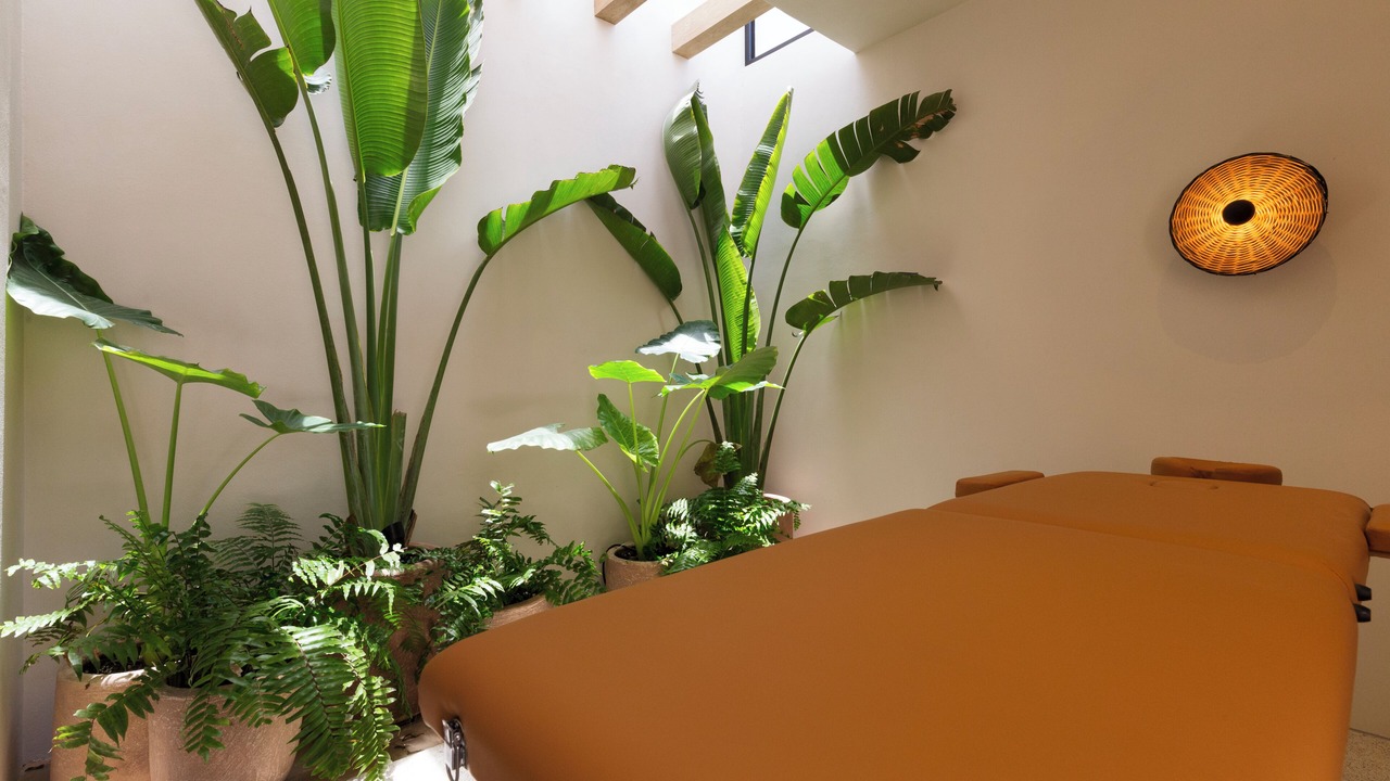 Photo of Others in Brisas de Zicatela