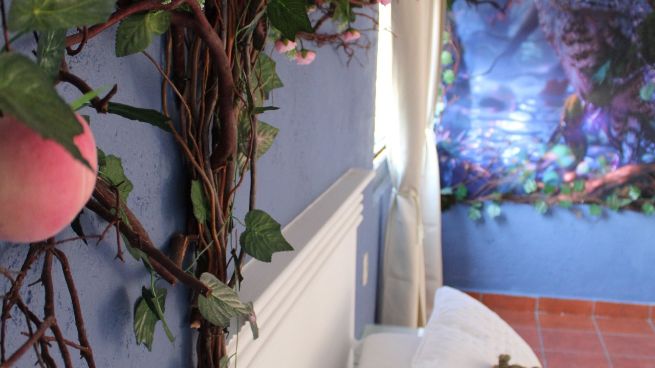 Photo of Bedroom in Tepoztlan