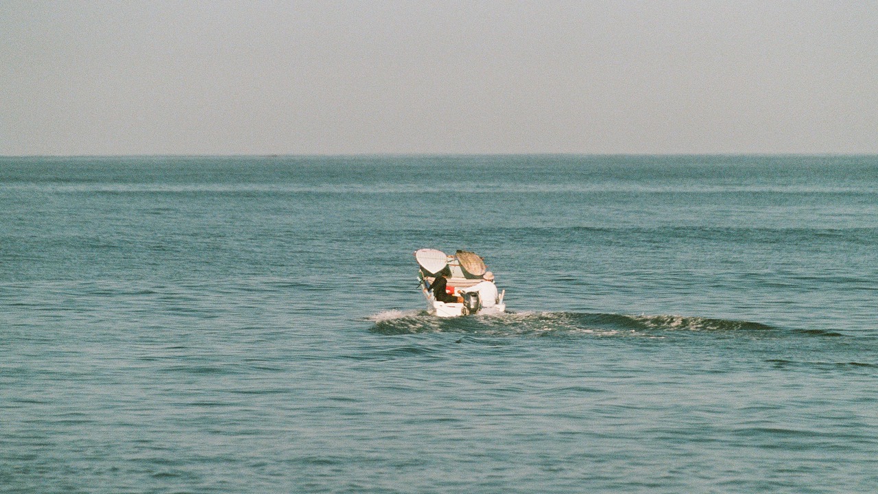 Photo of Others in Saladita