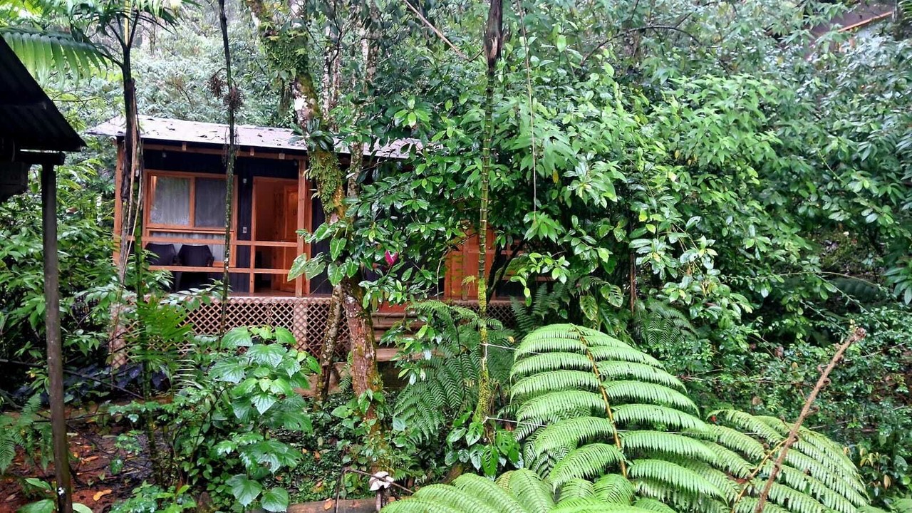 Photo of Outdoor in Coban