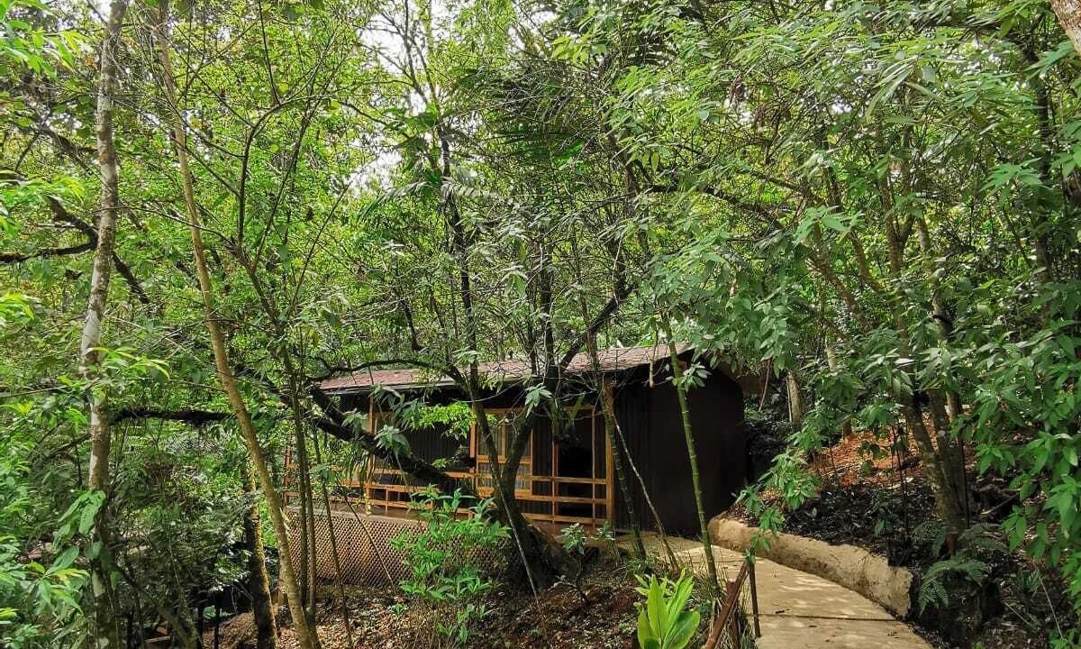 Photo of Outdoor in Coban