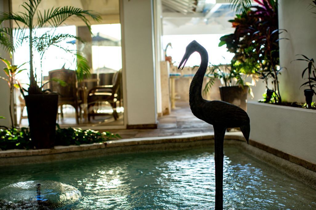 Photo of Outdoor in Puerto Vallarta