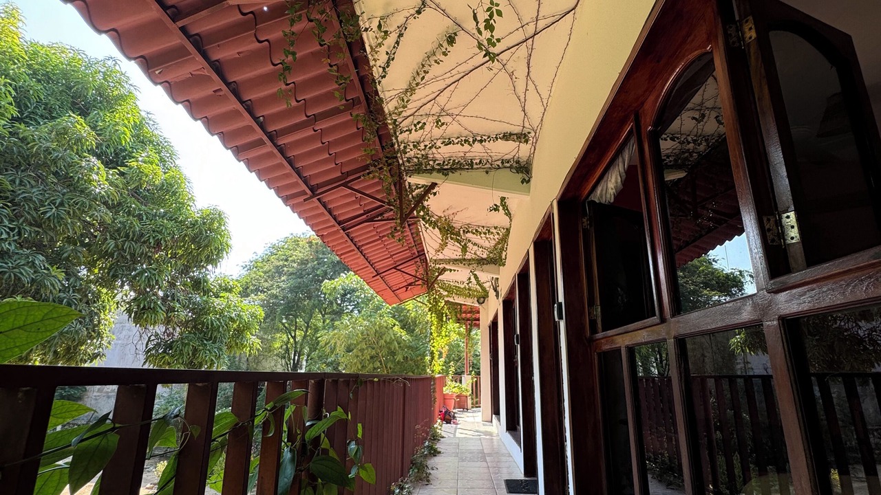 Photo of Outdoor in Hidalgo