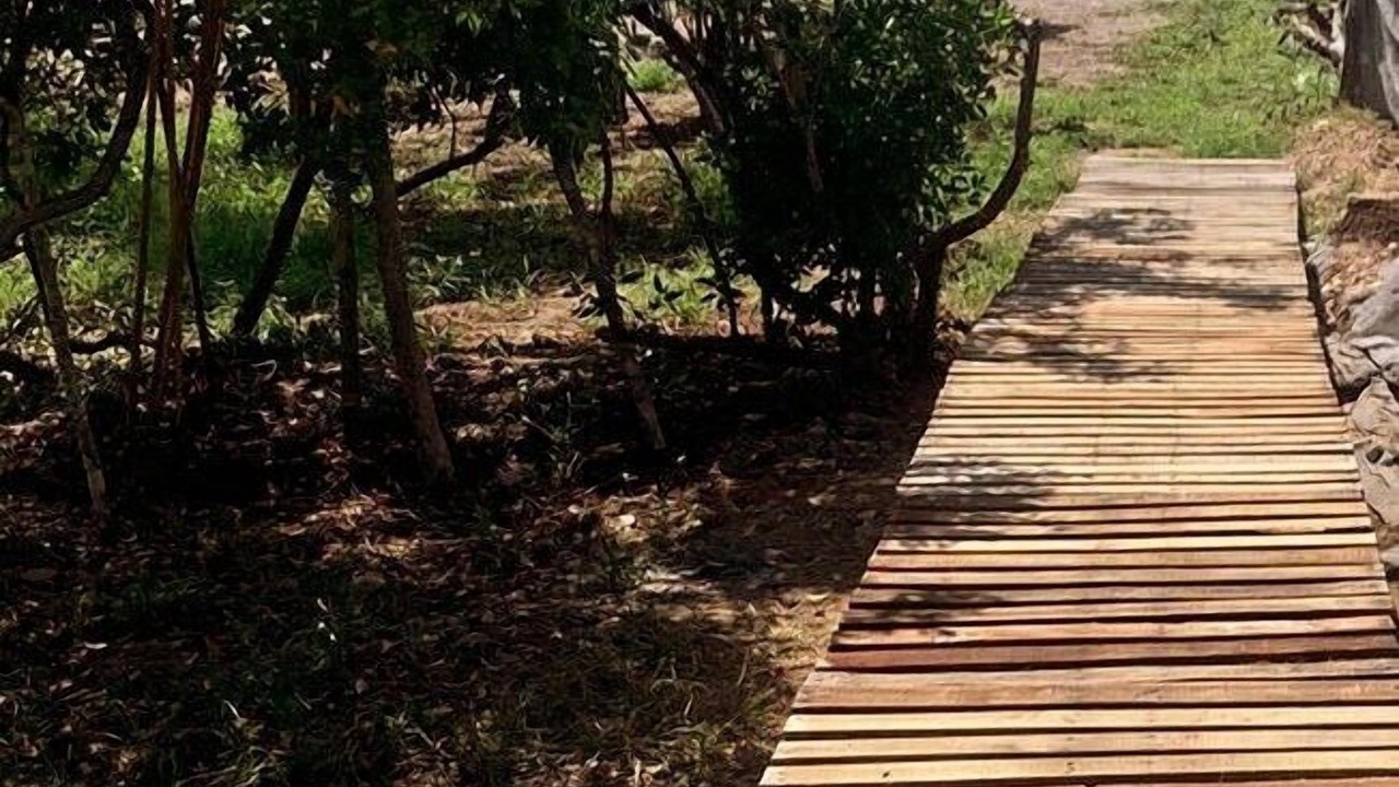 Photo of Outdoor in Elota