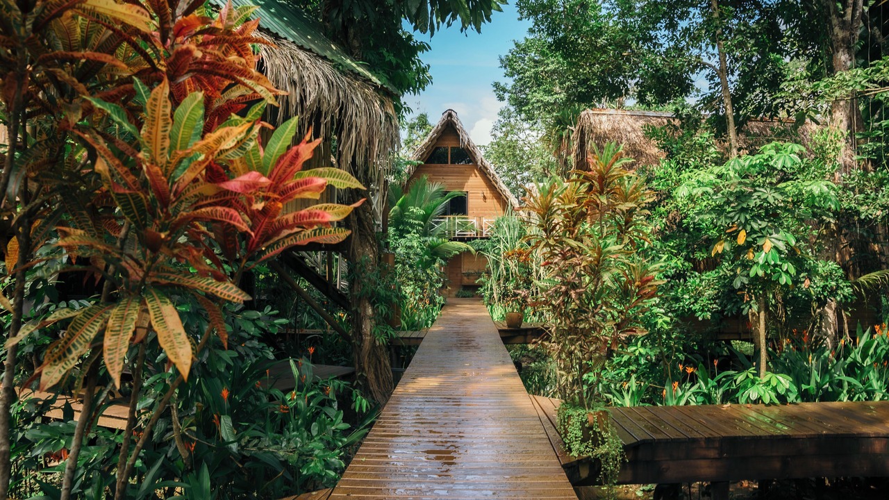 Photo of Outdoor in Rio Dulce
