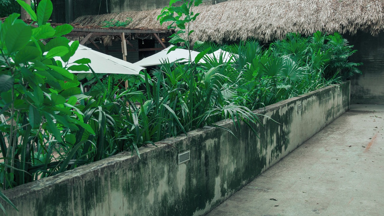 Photo of Outdoor in Centro