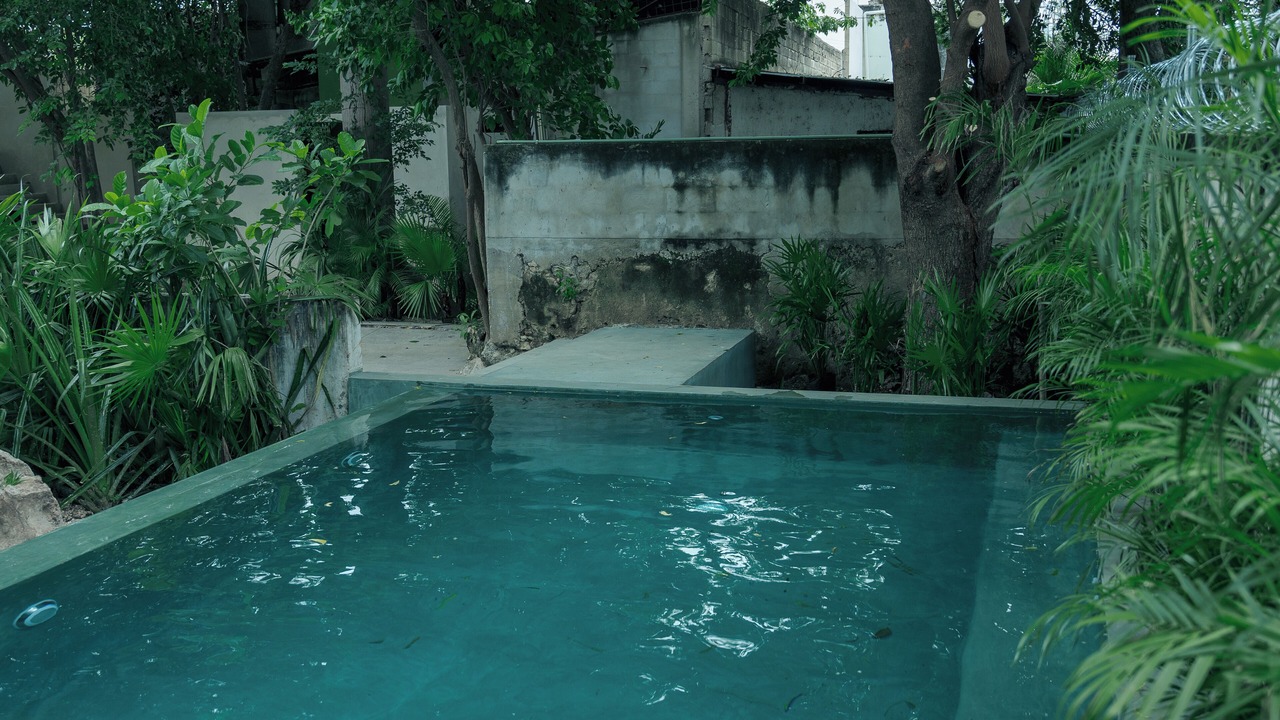 Photo of Outdoor in Centro