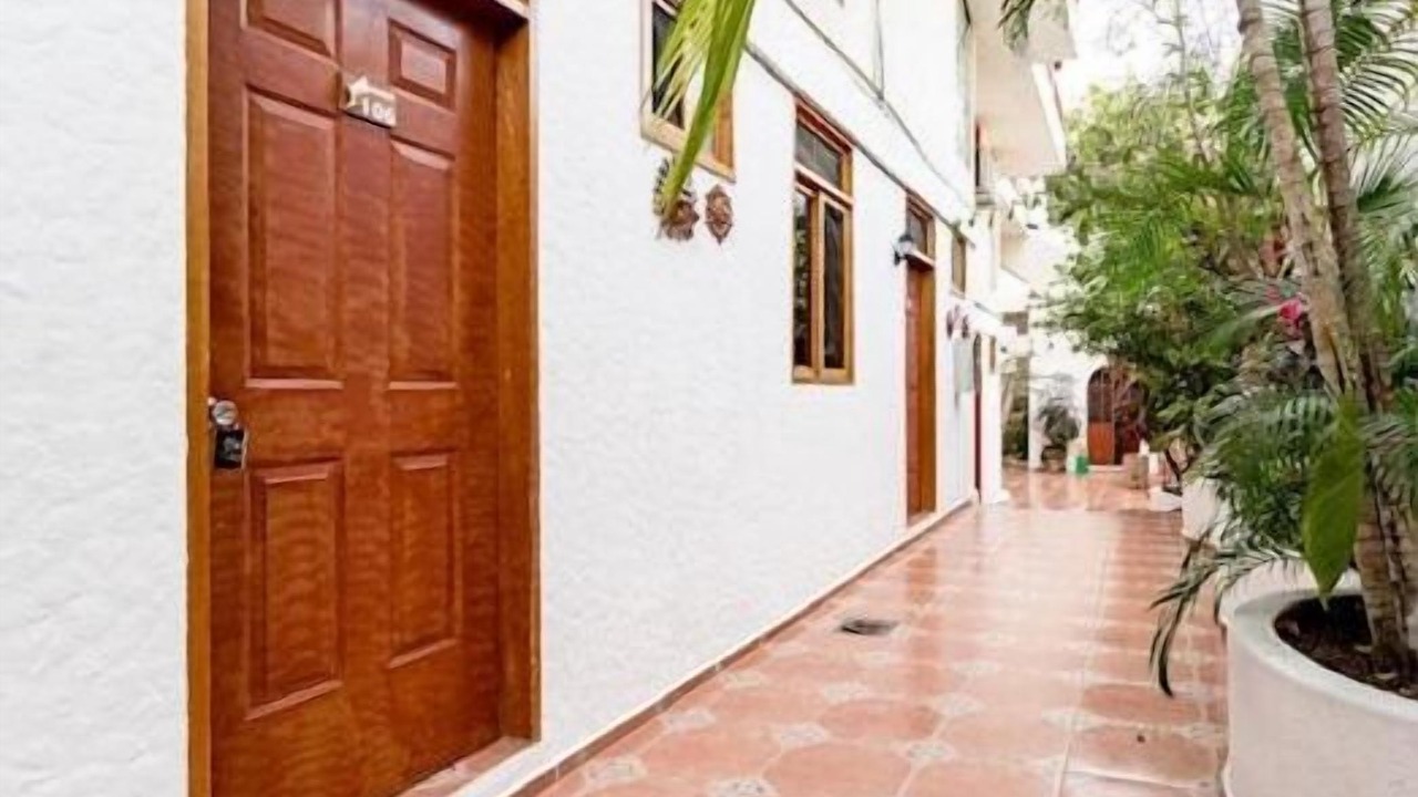 Photo of Outdoor in Hidalgo