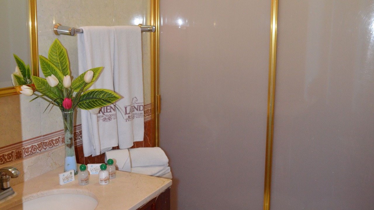 Photo of Bathroom in Tequila