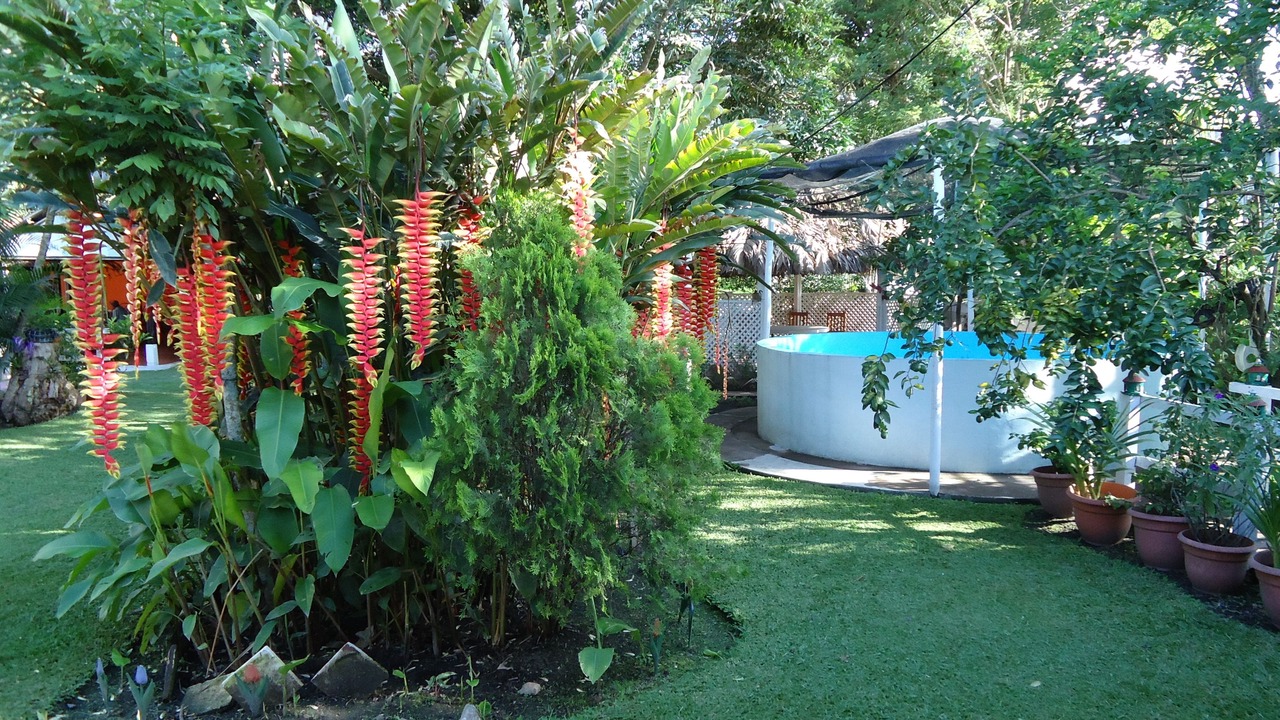 Photo of Others in San Jeronimo